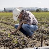 Los agricultores: protagonistas de la gestión hídrica