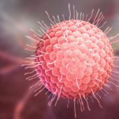 Impredecible y dolorosa... Herpes Zóster, la enfermedad que llega sin avisar, incluso a las celebridades