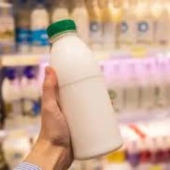 Impacto de las marcas propias en la industria alimentaria Impacto de las marcas propias en la industria alimentaria